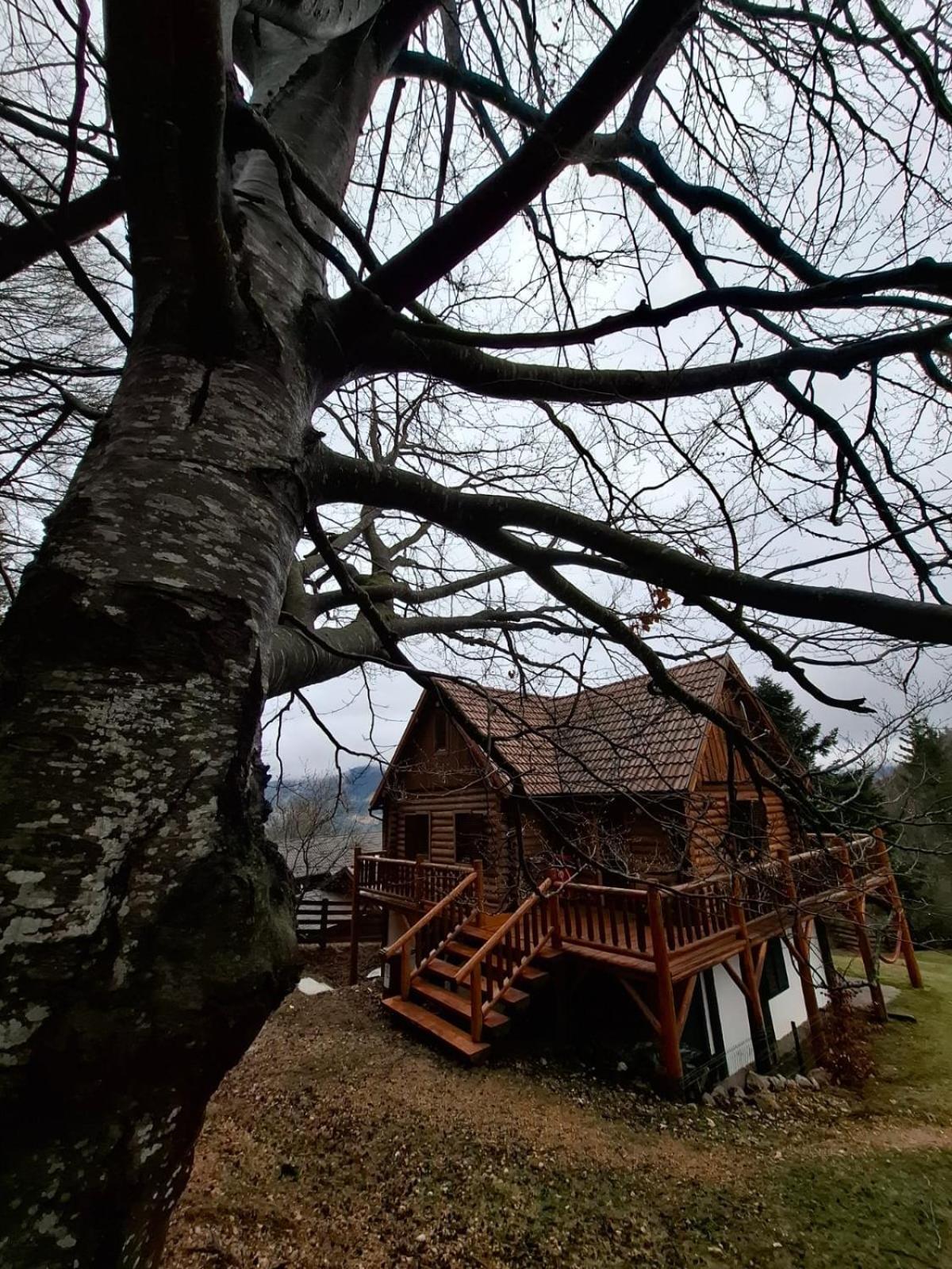 Veresko Villa ラク・ロシュ エクステリア 写真